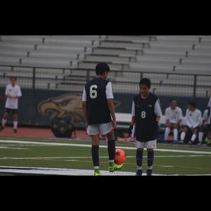 Meet your Posher, Hector